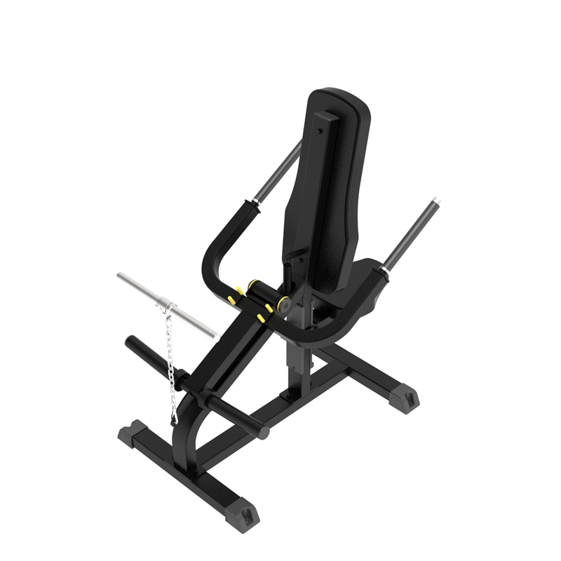 China Hot-selling Back Extension - IFP1706 BICEPS/TRICEPS – IMPULSE  Manufacturer and Supplier